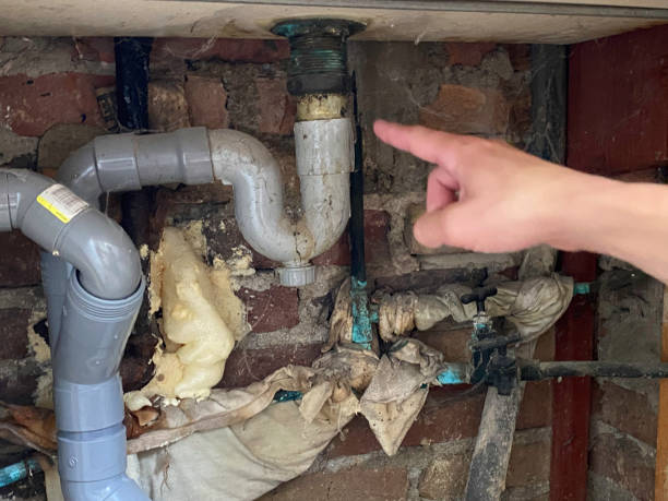 Best Water damage repair service  in Ardmore, TN